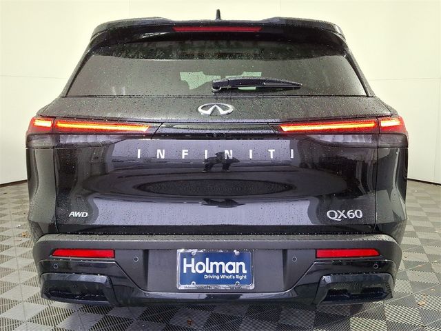 2025 INFINITI QX60 Pure