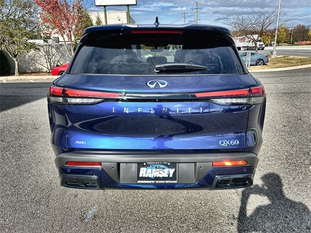 2025 INFINITI QX60 Pure