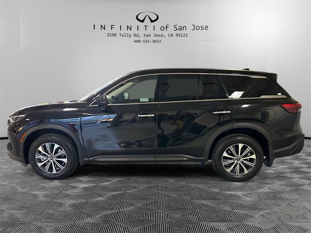 2025 INFINITI QX60 Pure