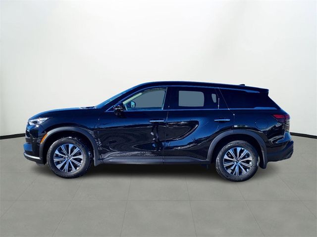 2025 INFINITI QX60 Pure