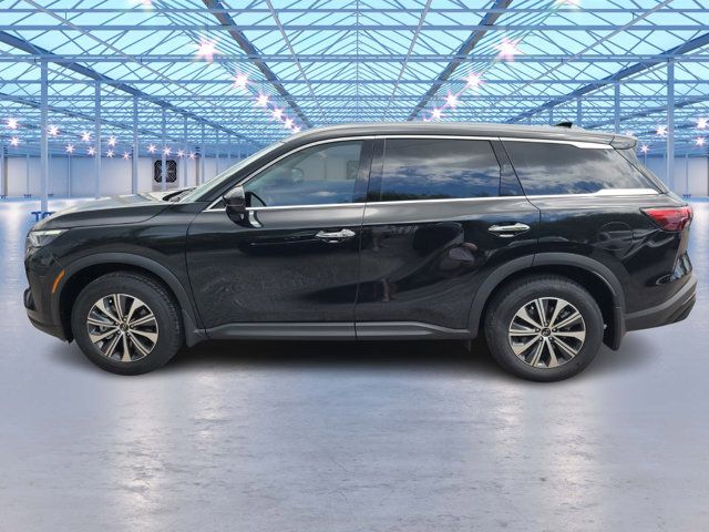 2025 INFINITI QX60 Pure