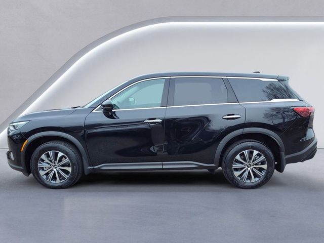 2025 INFINITI QX60 Pure