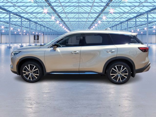 2025 INFINITI QX60 Sensory