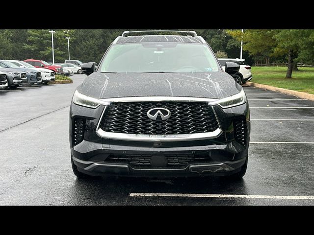 2025 INFINITI QX60 Sensory