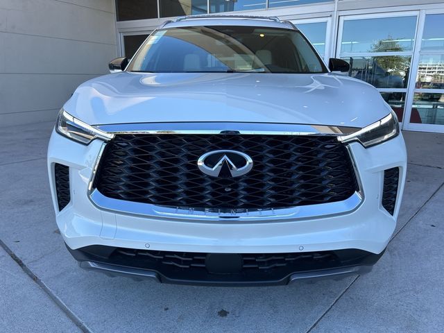 2025 INFINITI QX60 Sensory