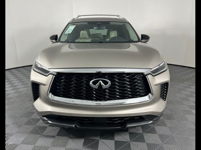 2025 INFINITI QX60 Sensory