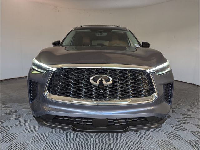 2025 INFINITI QX60 Sensory