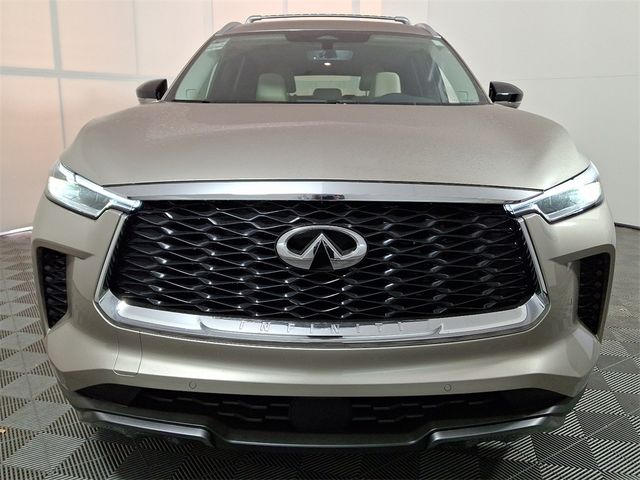 2025 INFINITI QX60 Sensory