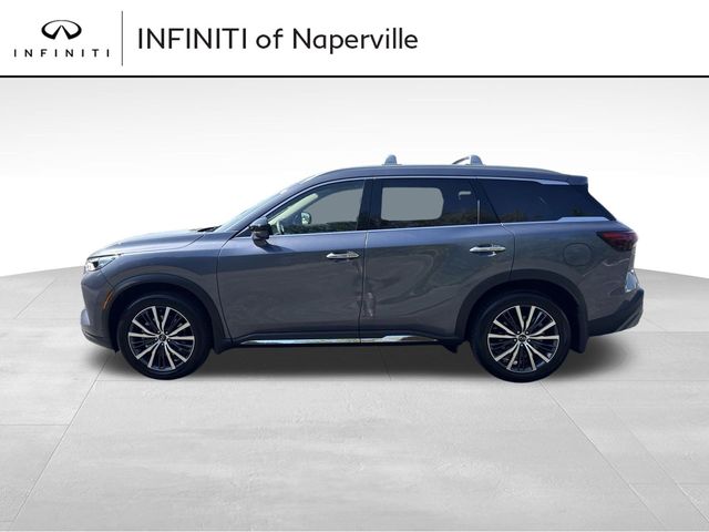 2025 INFINITI QX60 Sensory