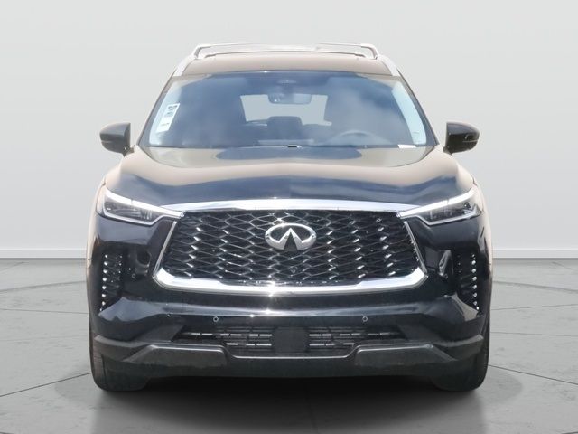 2025 INFINITI QX60 Sensory