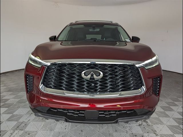 2025 INFINITI QX60 Sensory