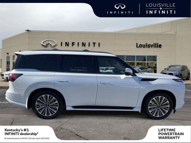 2025 INFINITI QX80 Luxe