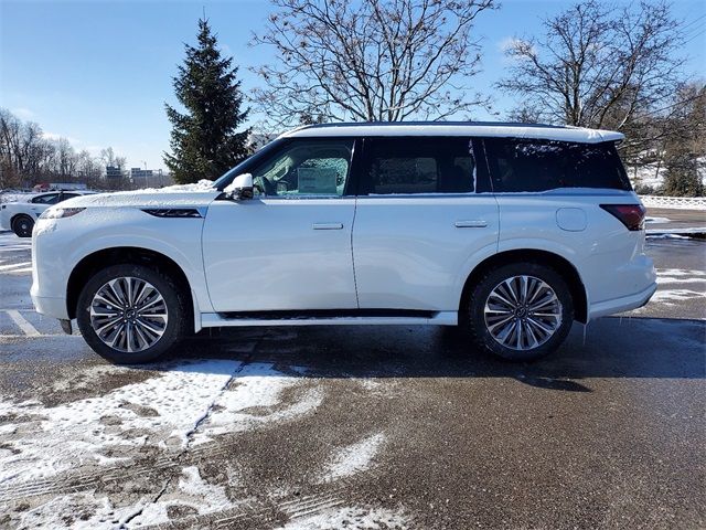 2025 INFINITI QX80 Luxe