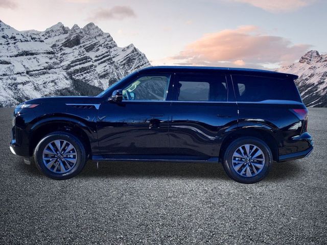 2025 INFINITI QX80 PURE