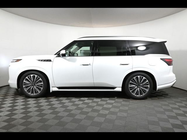 2025 INFINITI QX80 Sensory