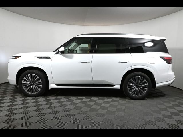 2025 INFINITI QX80 Sensory