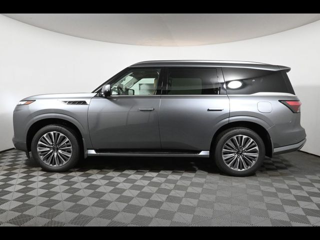 2025 INFINITI QX80 Sensory