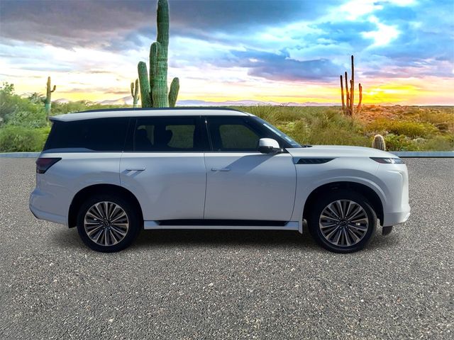 2025 INFINITI QX80 Sensory