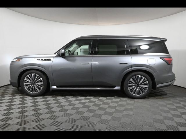 2025 INFINITI QX80 Sensory