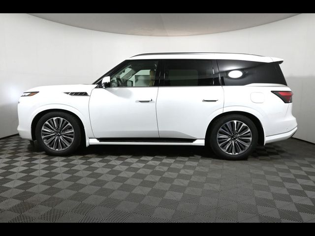 2025 INFINITI QX80 Sensory