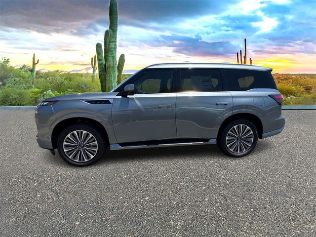 2025 INFINITI QX80 Sensory