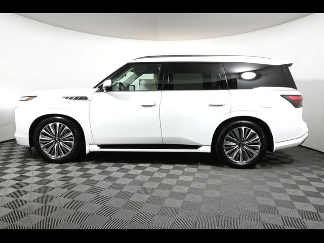 2025 INFINITI QX80 Sensory