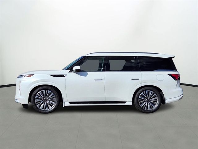 2025 INFINITI QX80 Sensory