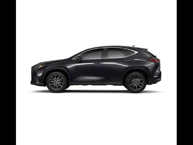 2025 Lexus NX 350