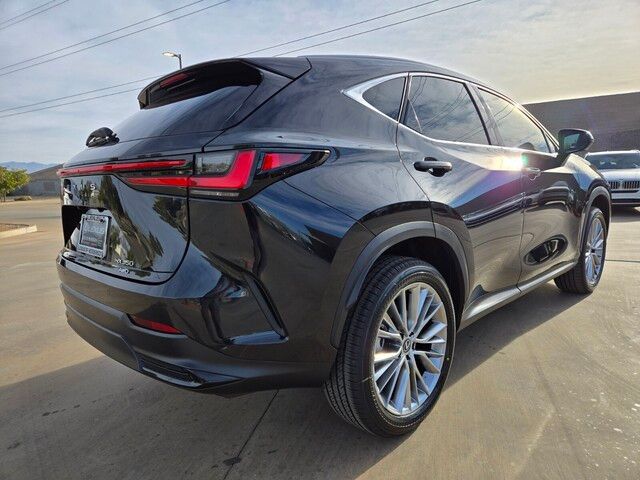 2025 Lexus NX 350 Premium