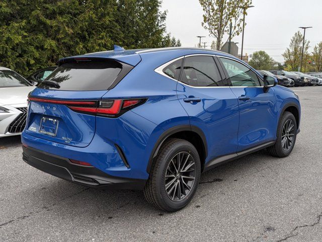 2025 Lexus NX 250 Premium