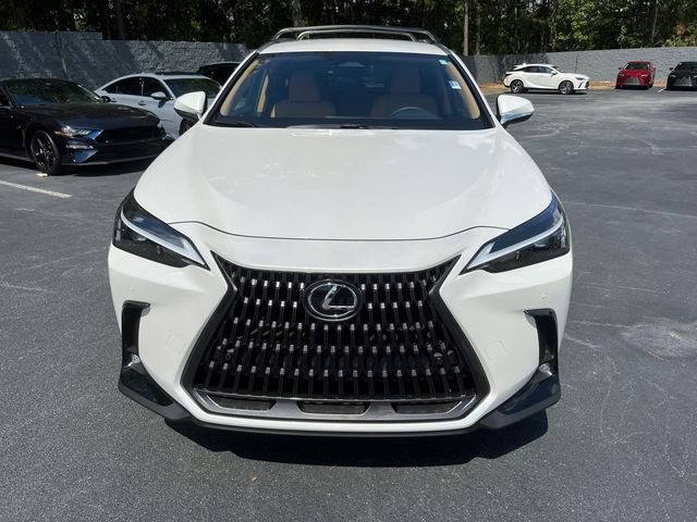 2025 Lexus NX 250