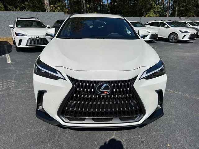 2025 Lexus NX 250