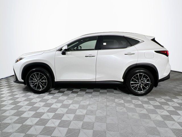 2025 Lexus NX 350