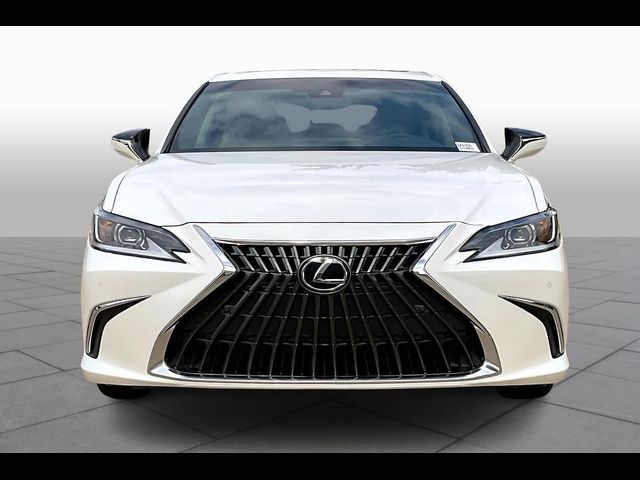 2025 Lexus ES 250