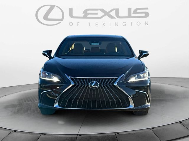 2025 Lexus ES 350