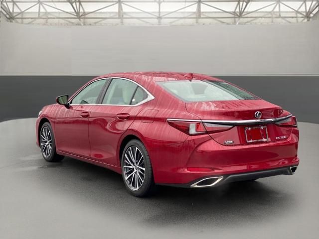 2025 Lexus ES 350