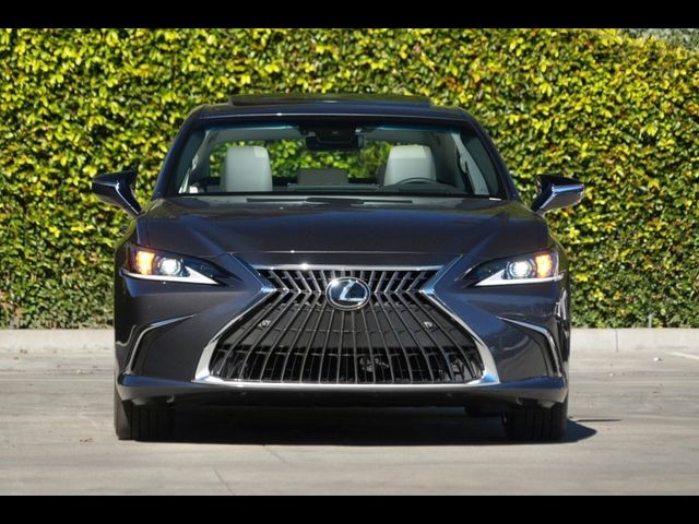 2025 Lexus ES 300h