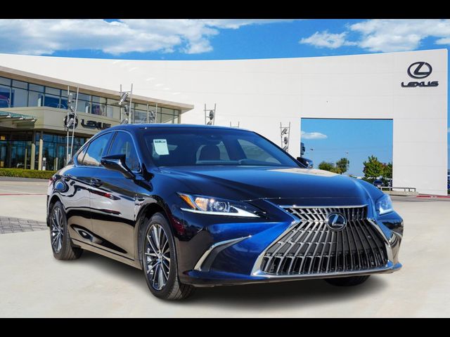 2025 Lexus ES 350