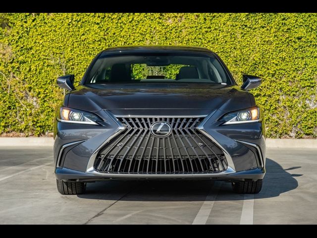 2025 Lexus ES 350