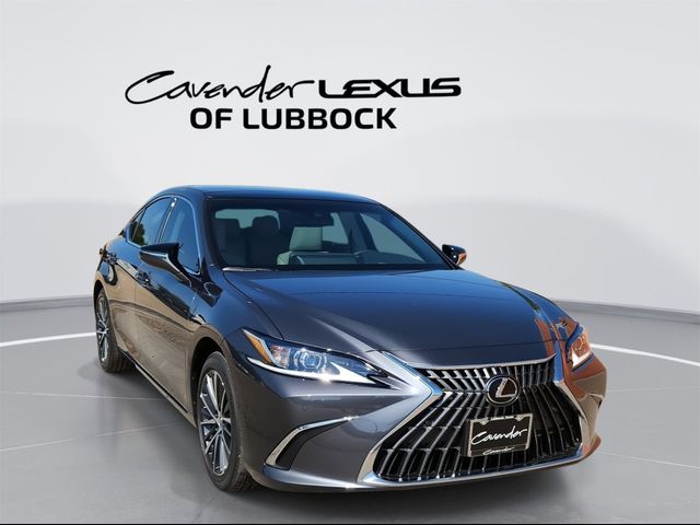 2025 Lexus ES 350