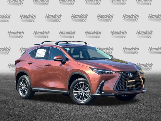 2025 Lexus NX 250