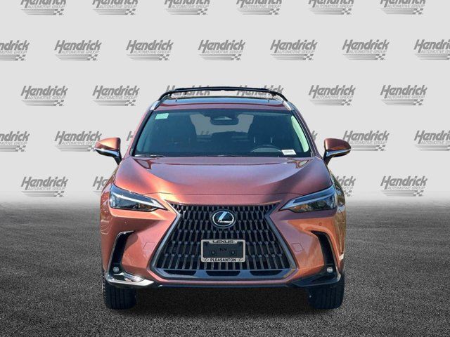 2025 Lexus NX 250