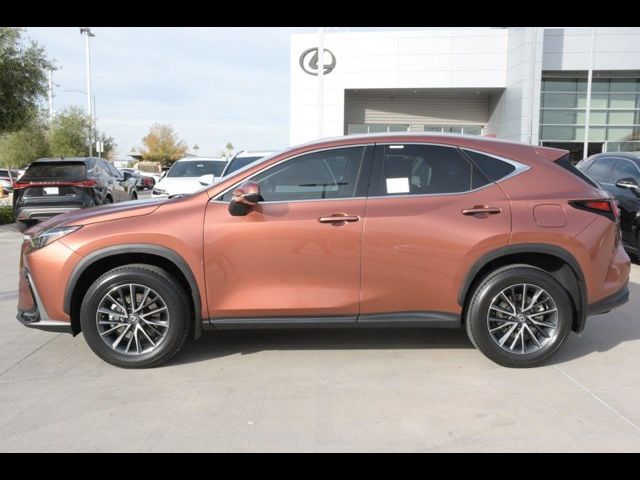 2025 Lexus NX 250