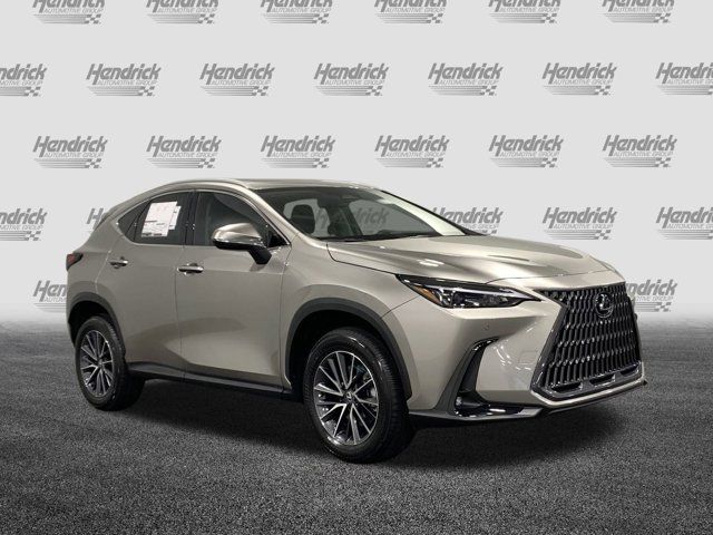 2025 Lexus NX 250