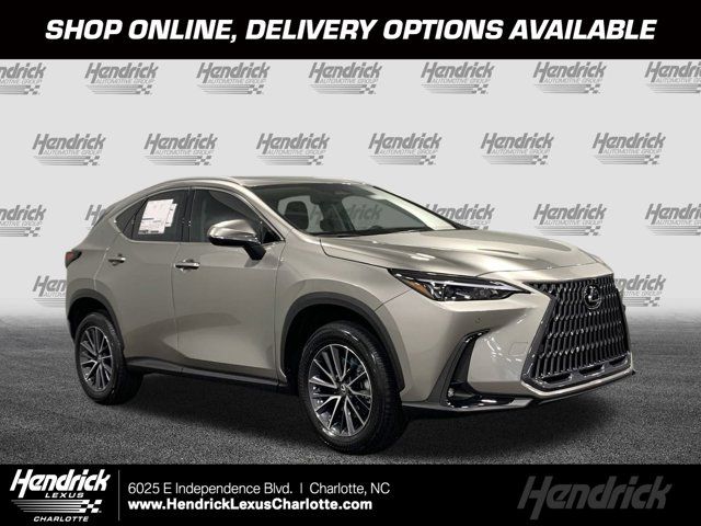 2025 Lexus NX 250