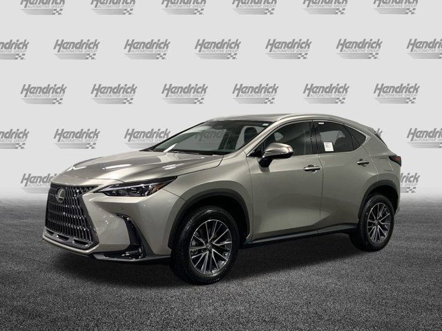 2025 Lexus NX 250