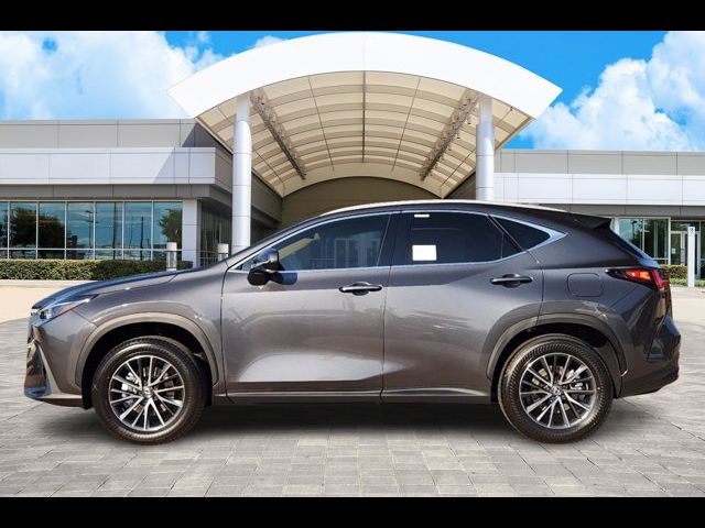 2025 Lexus NX 250