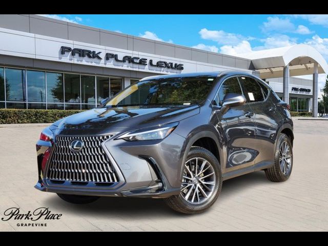 2025 Lexus NX 250