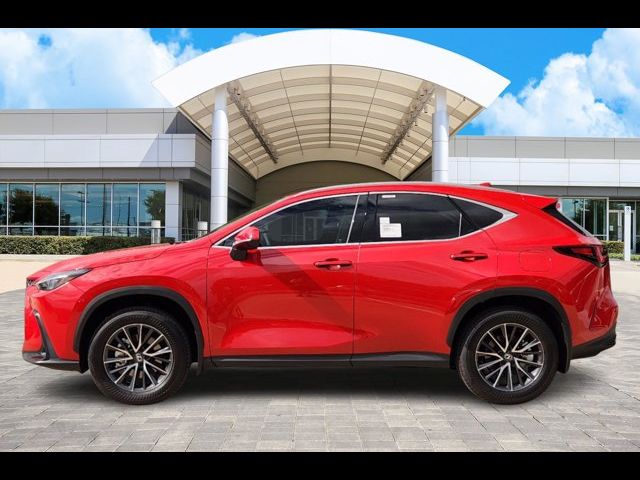 2025 Lexus NX 250