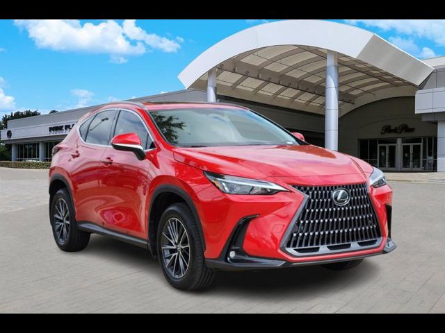 2025 Lexus NX 250